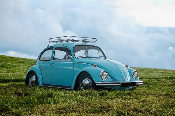 A classic Volkswagen Beetle in a field